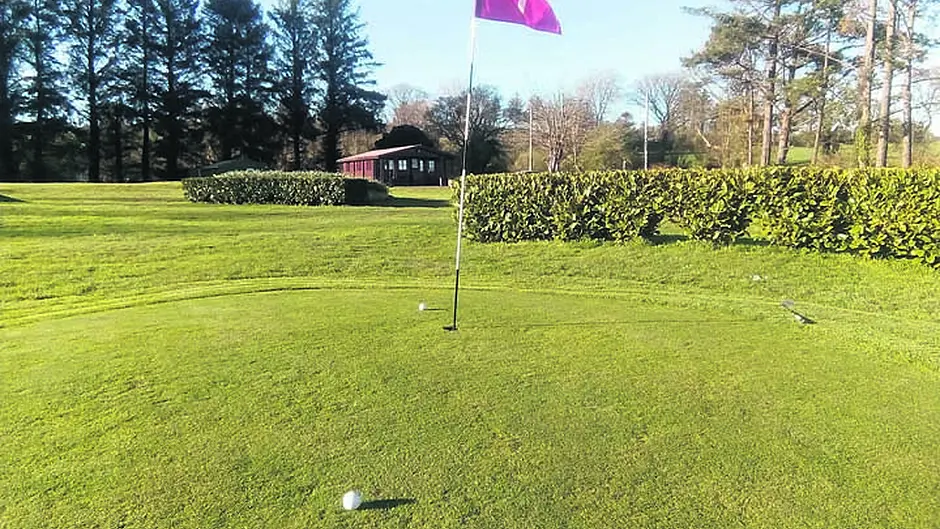 Drimoleague Pitch and Putt celebrates its 40th birthday Image