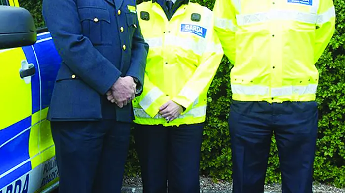 Seven new gardaí set to provide boost to local roads policing unit Image