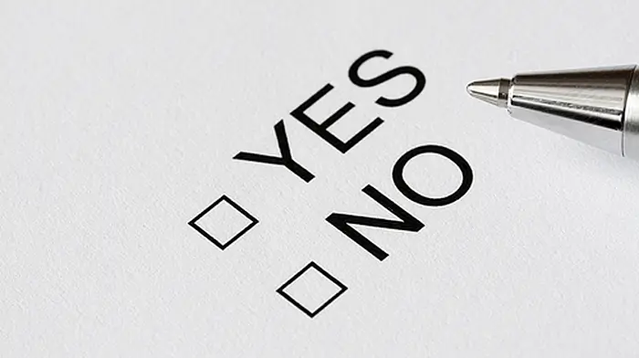 Just 2% of voters undecided on 8th referendum Image