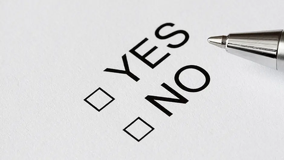 Just 2% of voters undecided on 8th referendum Image