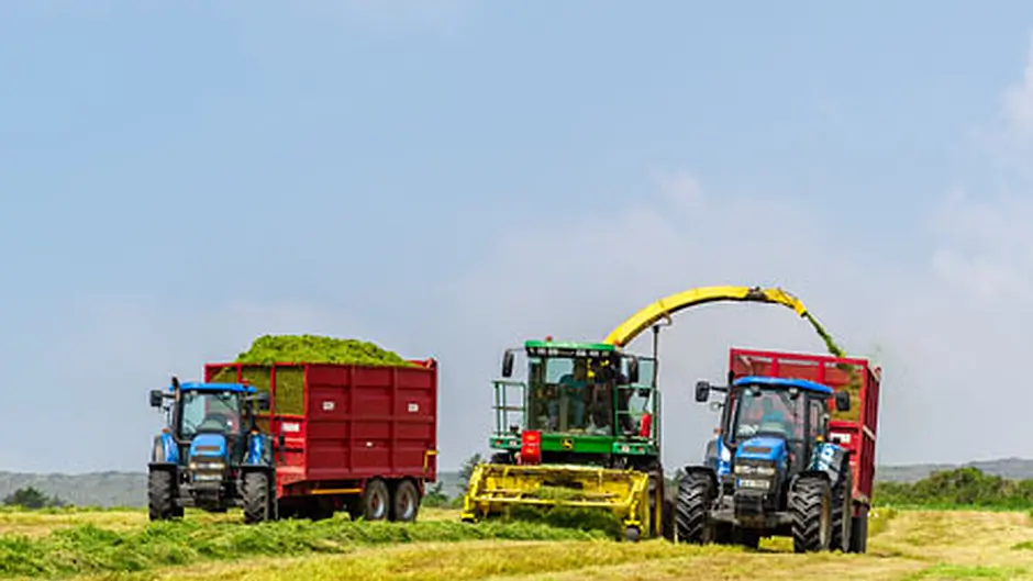 Important that first silage cut not delayed Image