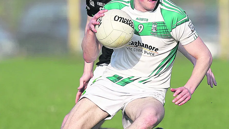 Battling Ilen give Nemo huge fright Image