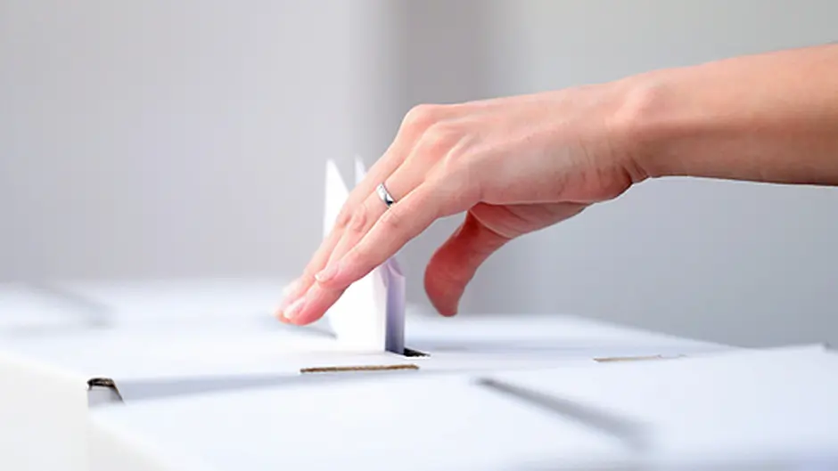 OPINION: Where is the ‘quiet  revolution' in a one-policy referendum? Image
