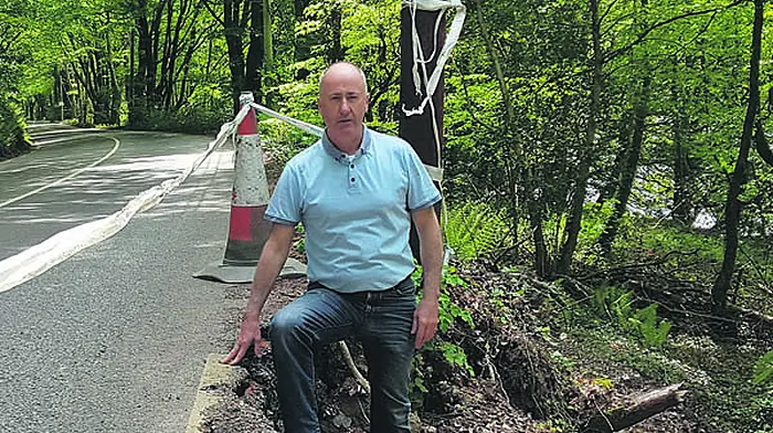 Safety barriers are needed on a ‘lethal' stretch of road – Cllr Image