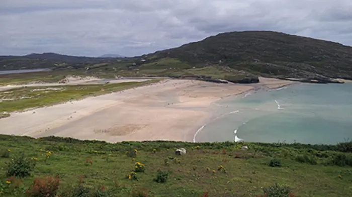 Bathers advised not to swim at Barleycove Beach due to bacteria Image