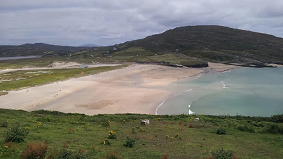 Bathers advised not to swim at Barleycove Beach due to bacteria Image