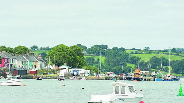 Plan to split up districts causing concern to Cllrs Image