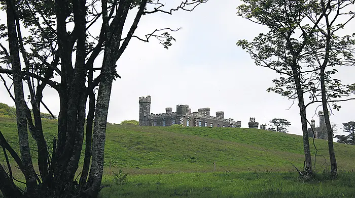 ‘We should be on the same side' says Castle owner Image