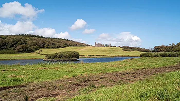 Castle Freke owner responds to Coillte's decision to abandon land sale Image
