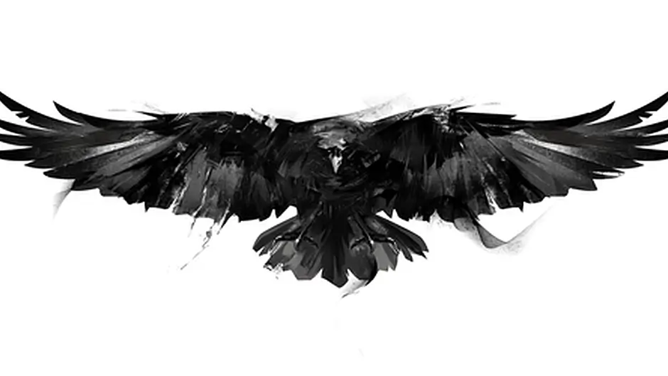 Dutch soldier's bullet ricocheted off a crow and hit couple's home Image