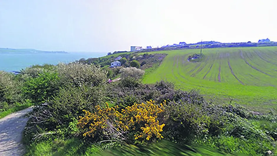 Cattle better looked after than Graball Bay locals Image