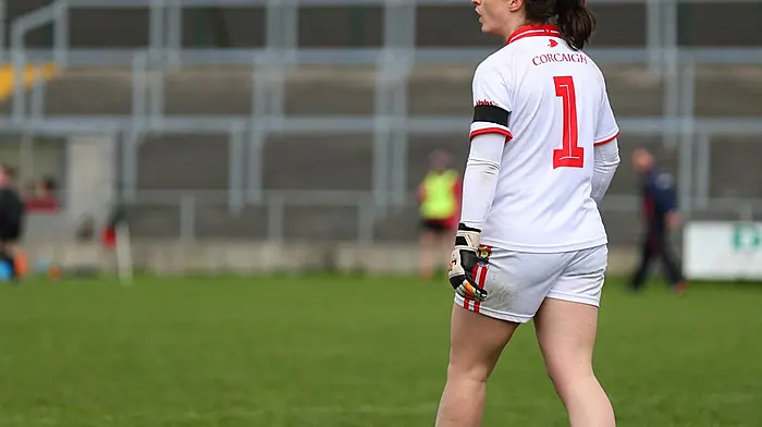 TG4 Munster final win is just what new-look Cork team needs – O'Brien Image