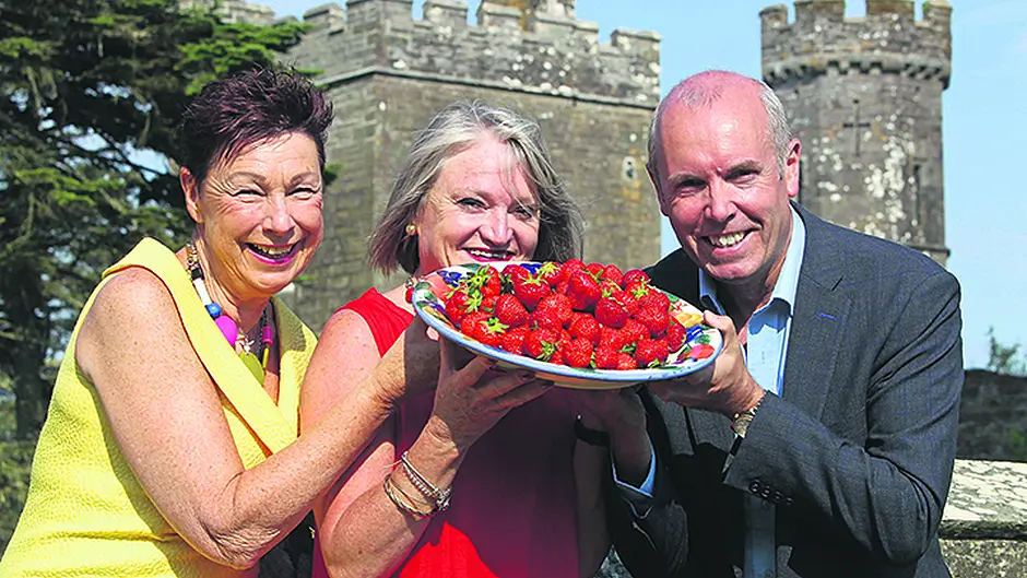US flavour added to ‘largest food festival' in Ireland Image