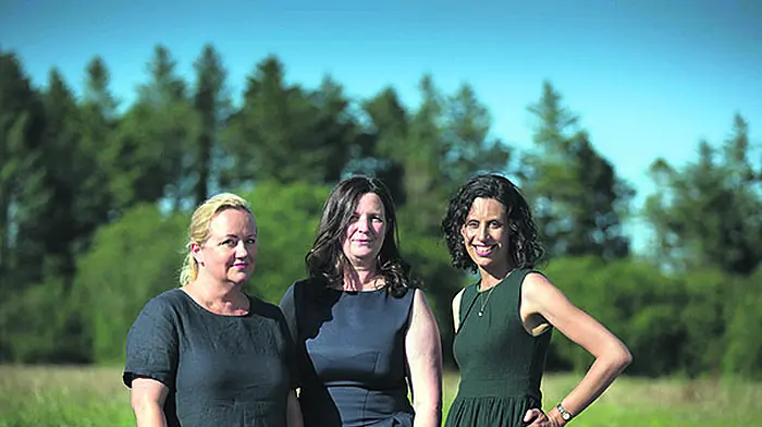 ‘Let go of the clutter and let the clarity in' advises business coach Image