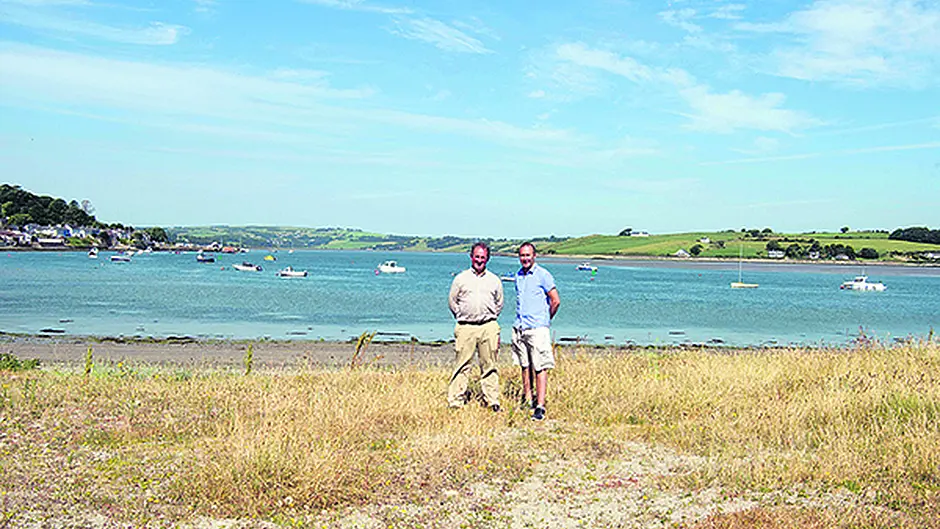 Noxious weeds threatening future of Courtmac's beach Image