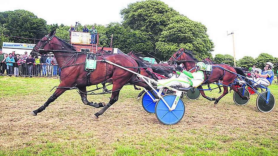 Sheehy caps off his week to remember Image