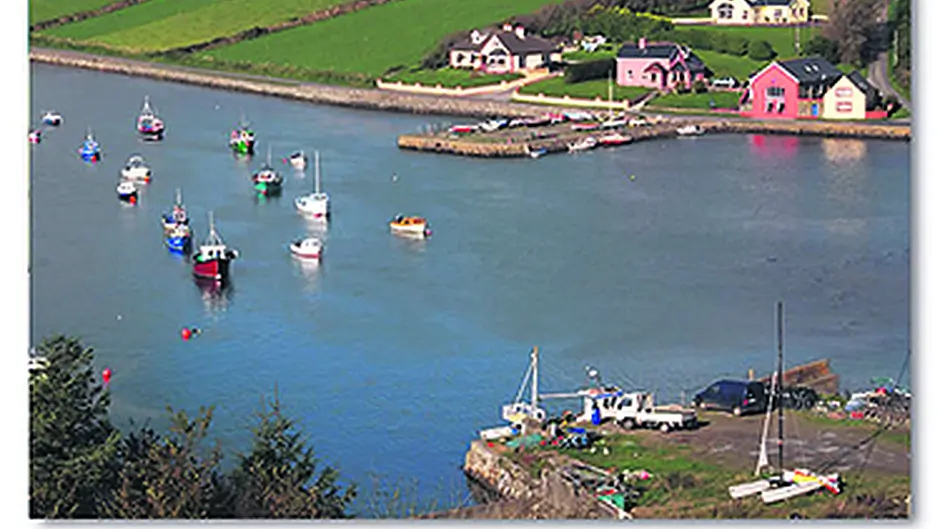 Ring say they're the ‘forgotten village' at expense of Clonakilty Image