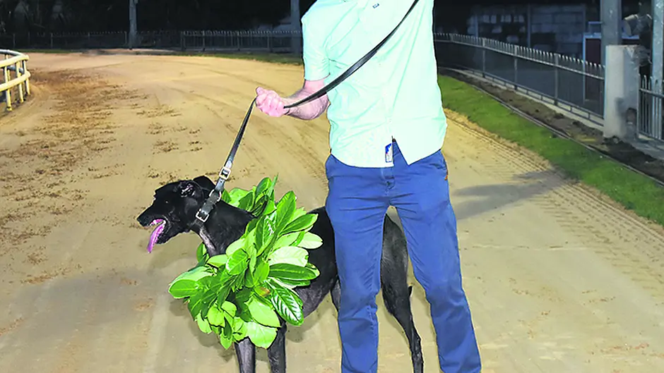 Tracton trainer Lynch celebrates Laurels' win Image