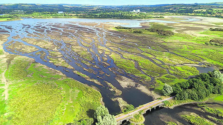 [Video] Gearagh running dry as it experiences lowest water levels in over 40 years Image