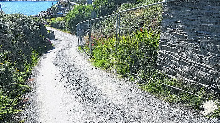 Cape Clear roads and water will be worth waiting for Image
