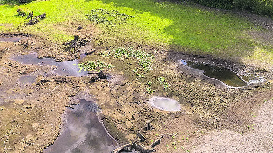 Concern at lack of management of Gearagh reserve Image