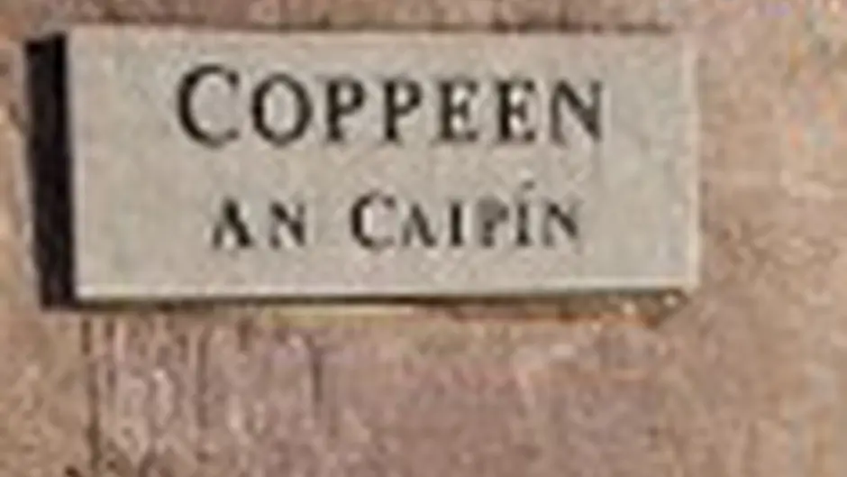 Road closures near Coppeen for cattle underpass installation Image