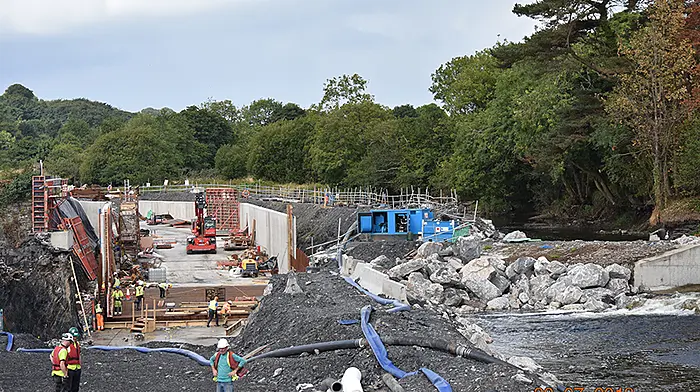 Bandon River's ‘fish pass' is described as ‘butchery' by local environmentalist Image