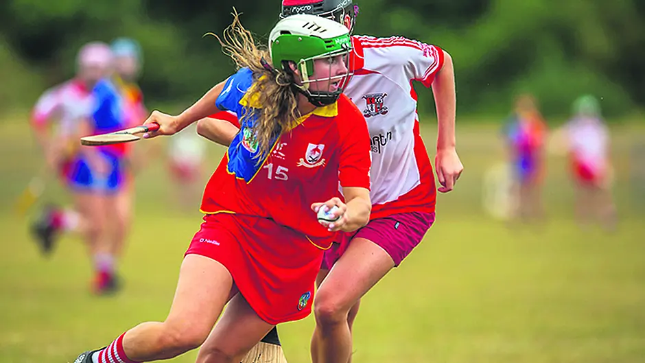 Sugrue stars for Carbery Image