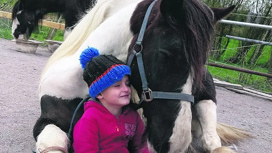 How Hairy Henry became the mane attraction in a special Bantry centre Image