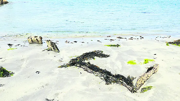 Bronze age ‘beach kitchen' is discovered on the Mizen Image