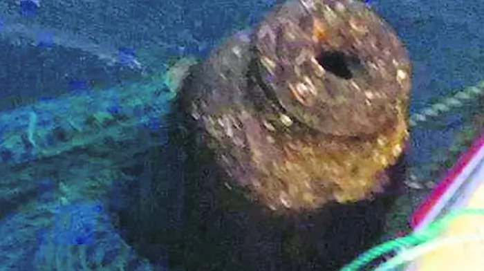 Cannon from 1600s is fisherman's catch of the day Image