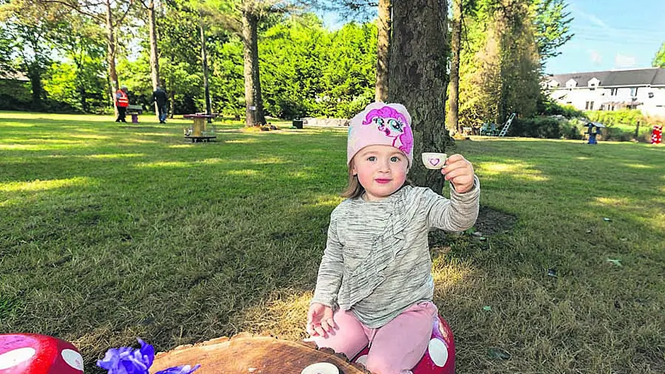 Macroom's fairy garden is enchanting Image