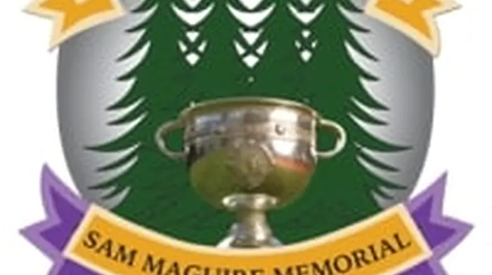 Kilmacabea and Tadhg MacCarthaigh to appeal players' suspensions Image