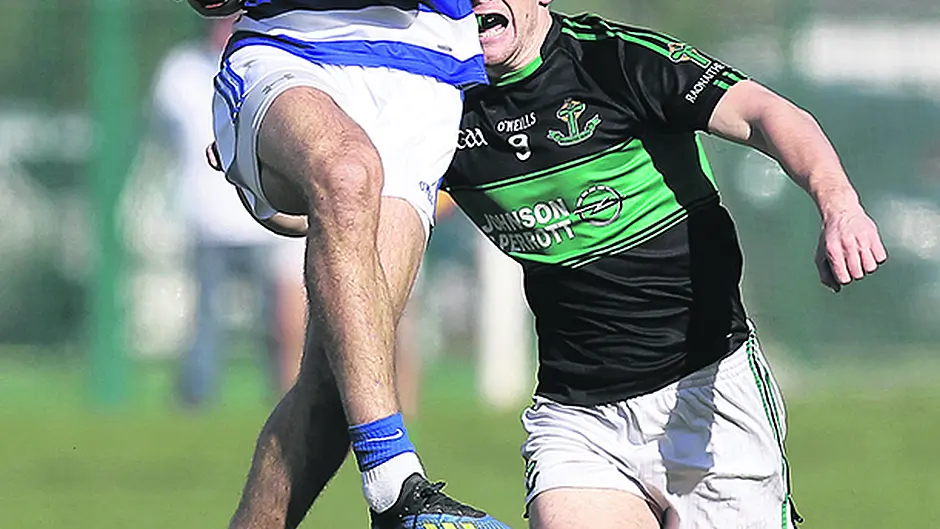 Brilliant Haven throw county race wide open Image