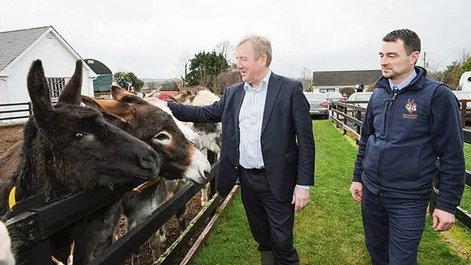 €2.56m awarded to animal  welfare organisations Image