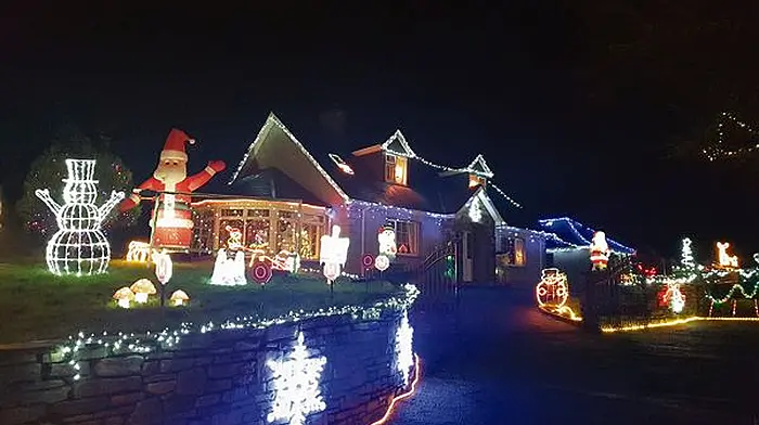 Mean-spirited thieves steal charity box from lights display on Christmas Eve Image
