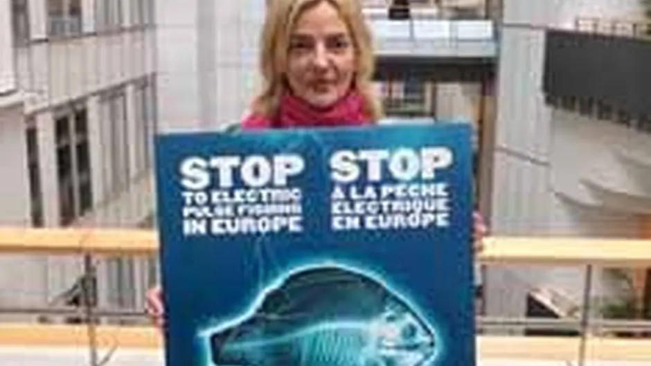 MEPs support pulse fishing ban proposals Image