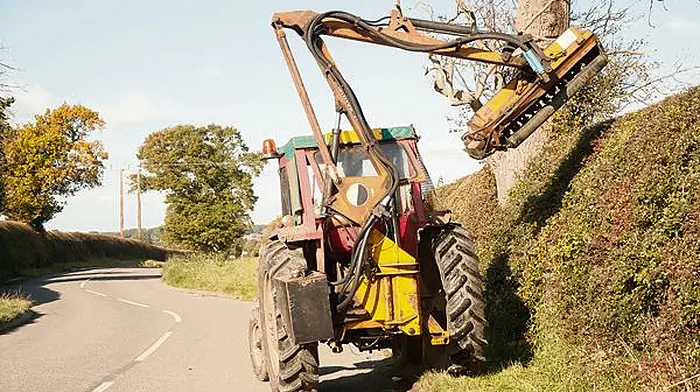 Council to pursue landowners who refuse to cut trees Image