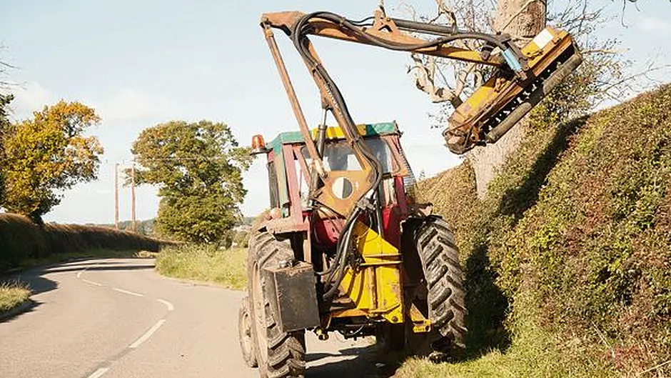 Council to pursue landowners who refuse to cut trees Image