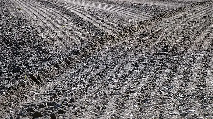 Plough on – new rule blasted as ridiculous Image