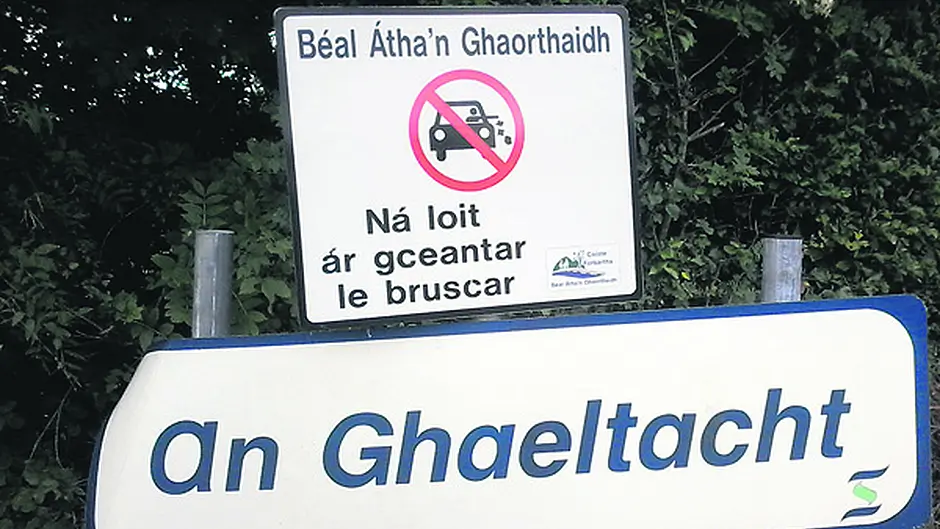Dept defends lack of Cork member on Údarás board Image