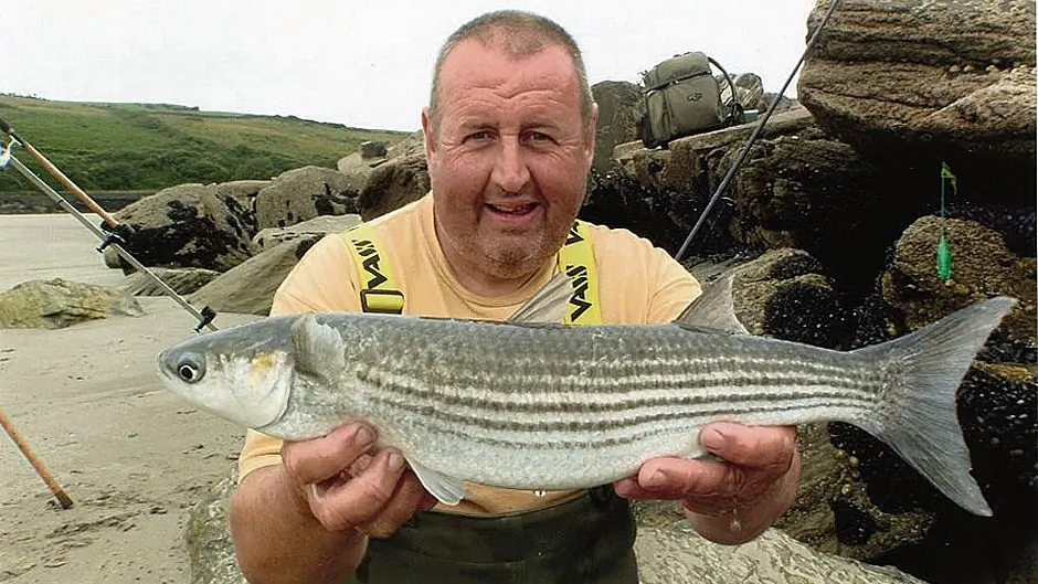 Rosscarbery mullet catch sets a new Irish record Image