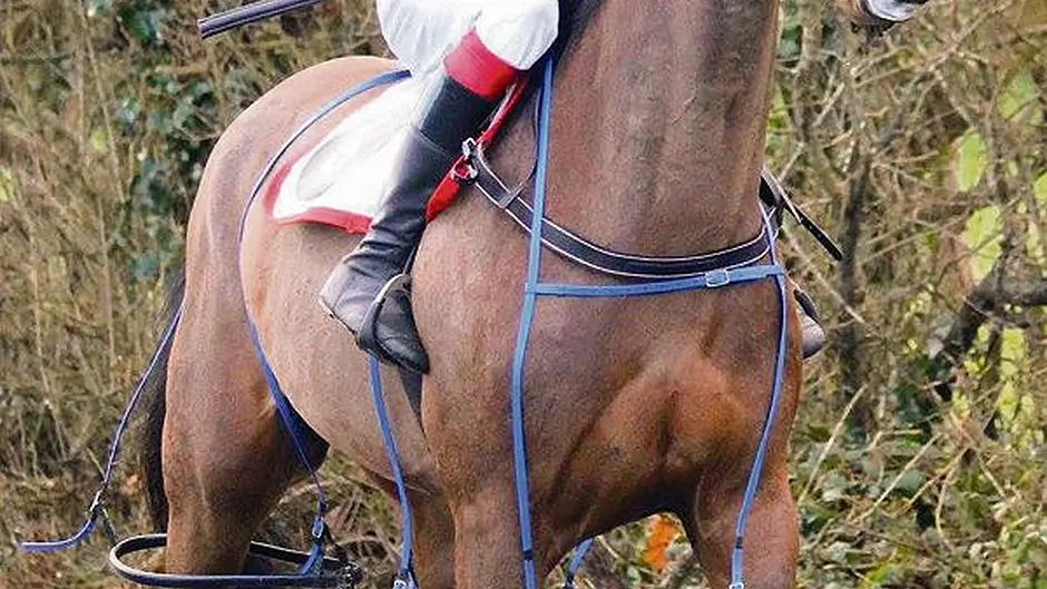 Jamie's the jockey with the Midas touch Image