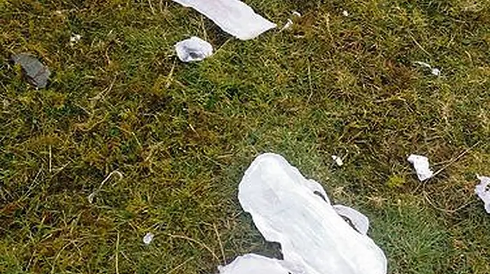 Gardai investigate unsanitary matter of dumped refuse Image