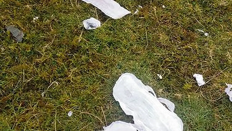 Gardai investigate unsanitary matter of dumped refuse Image