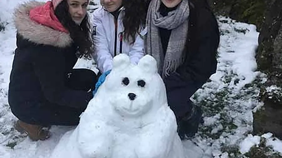LIVE: Worst of the icy weather is over but prepare for the thaw Image