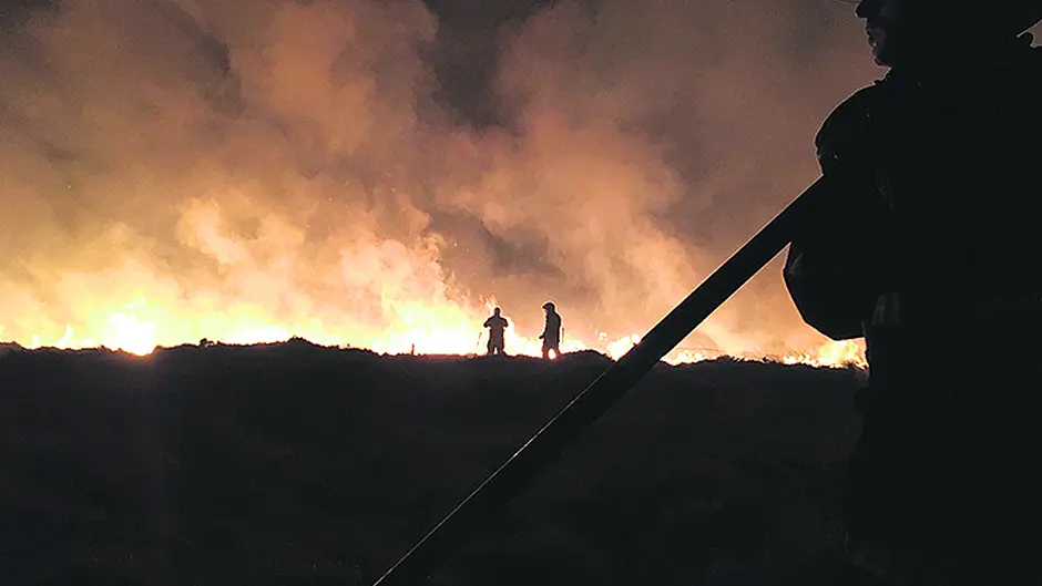 Firefighters rescue dog after gorse fire marathon Image