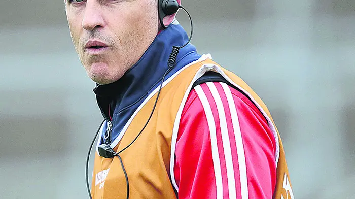 ‘Joining forces will help Cork find pitches  to train on' Image