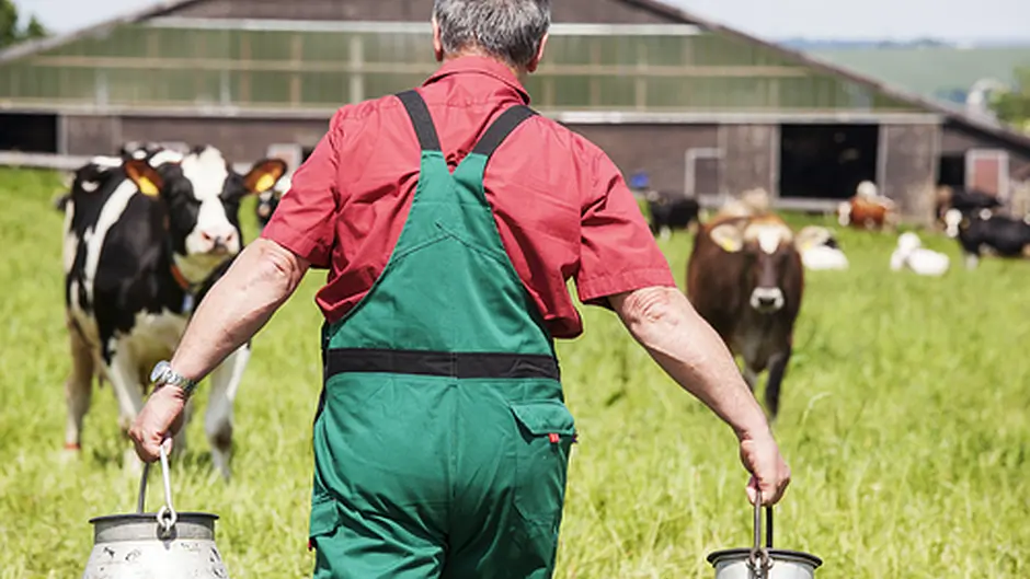 Dairy farms have highest accident rates Image