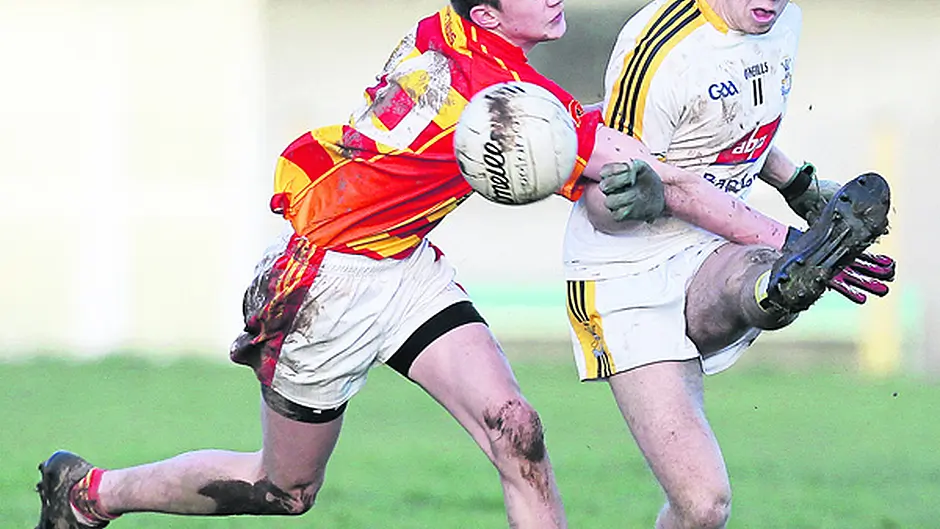 Bandon comeback stuns Newcestown Image